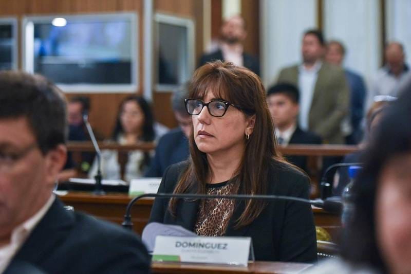 Domínguez: "La responsabilidad política consiste en actuar antes de que el problema sea irreversible" 1 WhatsApp Image 2026 07 15 at 12.40.55