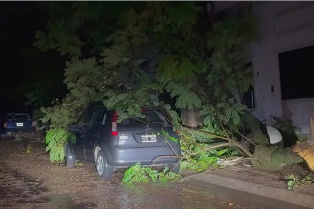 El gobierno provincial trabaja de manera coordinada para asistir a localidades afectadas por el temporal 2 descarga 1 1