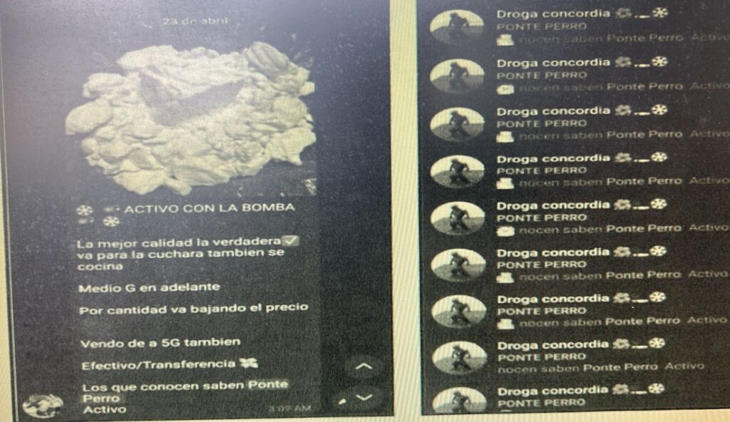 telegram banda