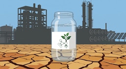 Cómo las regiones más secas del planeta podrían convertirse en las grandes productoras de combustible renovable